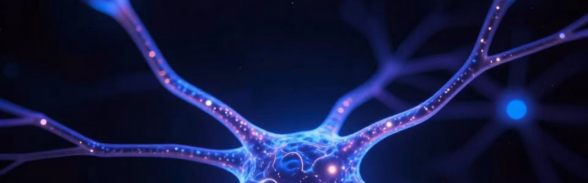 Neuroscience Research — INSTAR Lab Sciences — INSTAR Lab editorial image