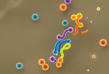 Biology Research — INSTAR Lab Sciences: a supporting visual for the research question described on this page.